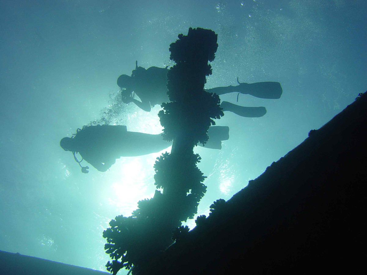 Dream Divers Unterwasserfotos